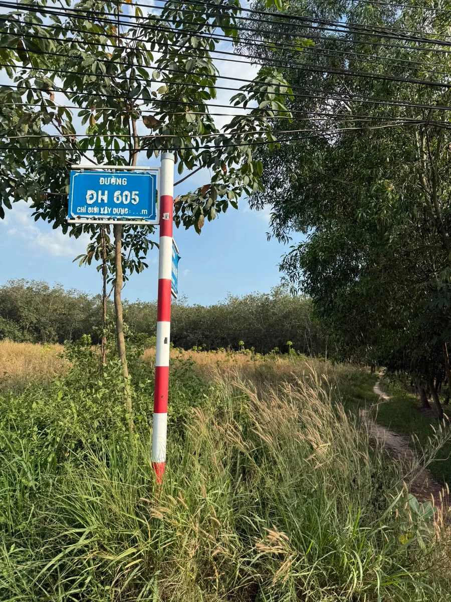 Bán đất 1 hectare mặt tiền Bến Cát, Bình Dương - Ảnh thu nhỏ 4