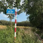 Bán đất 1 hectare mặt tiền Bến Cát, Bình Dương - Ảnh thu nhỏ 4