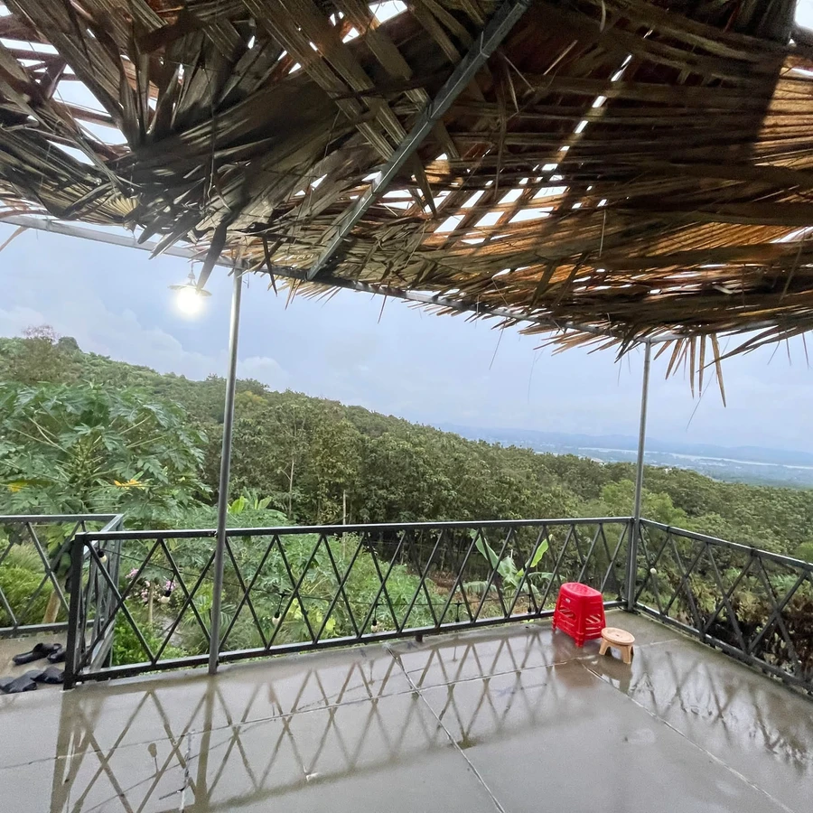 Bán đất vườn view sông La Ngà 1.500m², giá 367 triệu/500m², Đồng Nai - Ảnh thu nhỏ 4