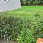 Đất bán 55m² giá 199 triệu Tân Trụ, Bình Dương - Ảnh thu nhỏ 2