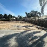 Bán 2 lô đất nông nghiệp Khánh Hòa 358-370m², giá 680-780 triệu - Ảnh thu nhỏ 1