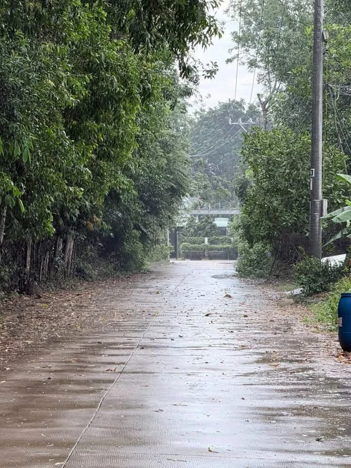 Bán đất Bình Mỹ 300m² giá 1 tỷ 8 - Ảnh thu nhỏ 2