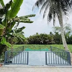 Bán nhà vườn 305m2 đường Nguyễn Biểu Bình Chánh - Ảnh thu nhỏ 4