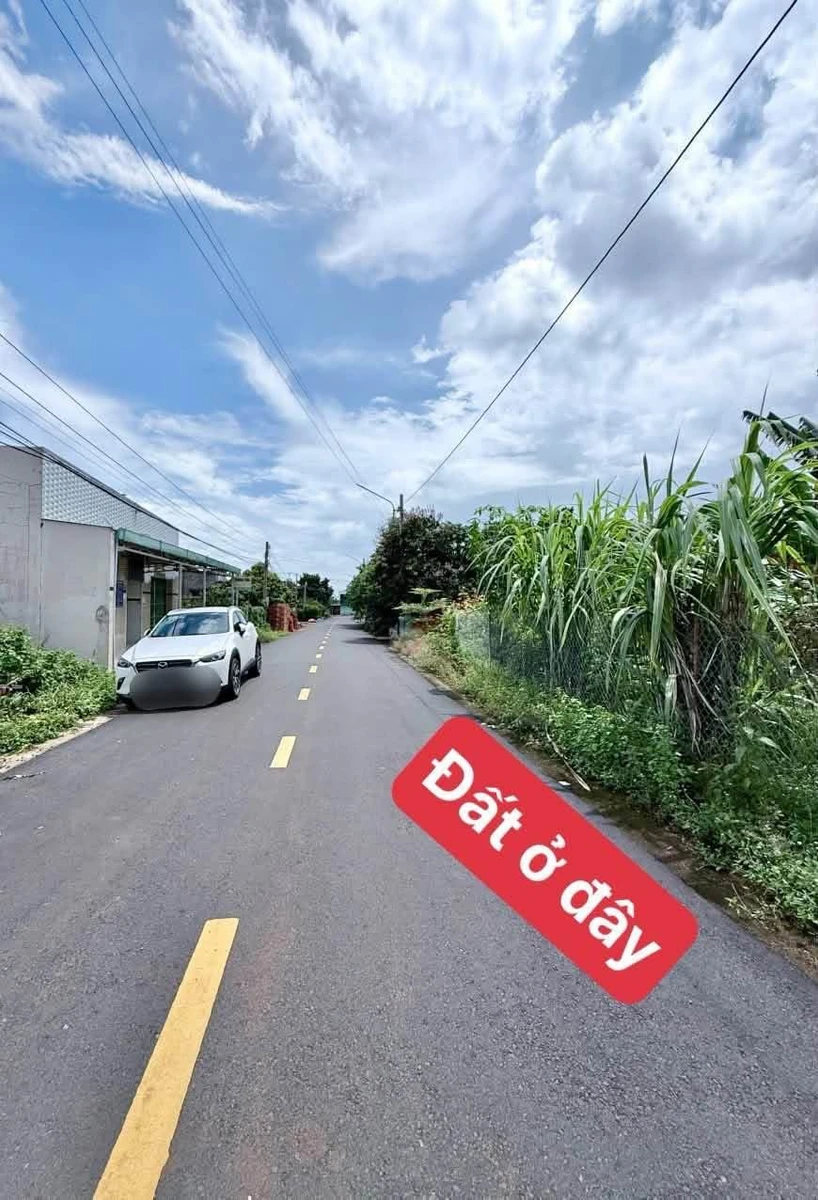 Bán đất 360m2 có 200m2 thổ cư Đất Đỏ giá 2 tỷ 1 - Ảnh thu nhỏ 5