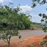 Bán đất mặt tiền Cây Số 9 Hóc Môn 3 sào - Ảnh thu nhỏ 2