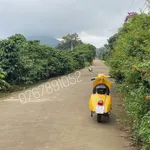 Bán đất nghỉ dưỡng 1.100m2 có 400m thổ cư tại Liên Hiệp, Đức Trọng, Lâm Đồng - Ảnh thu nhỏ 2