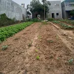 Bán lô đất Nội Bài 80m² hơn 2 tỷ - Ảnh thu nhỏ 2