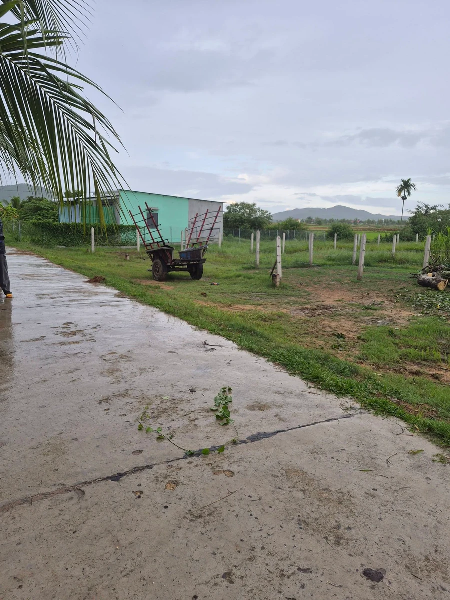 Bán đất thổ cư 132m2 giá 155 triệu tại Tân Hiệp, xã Hòa Trí - Ảnh thu nhỏ 3