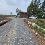 Bán đất vườn 500m² Tân Thành Thủ Thừa - Ảnh thu nhỏ 2
