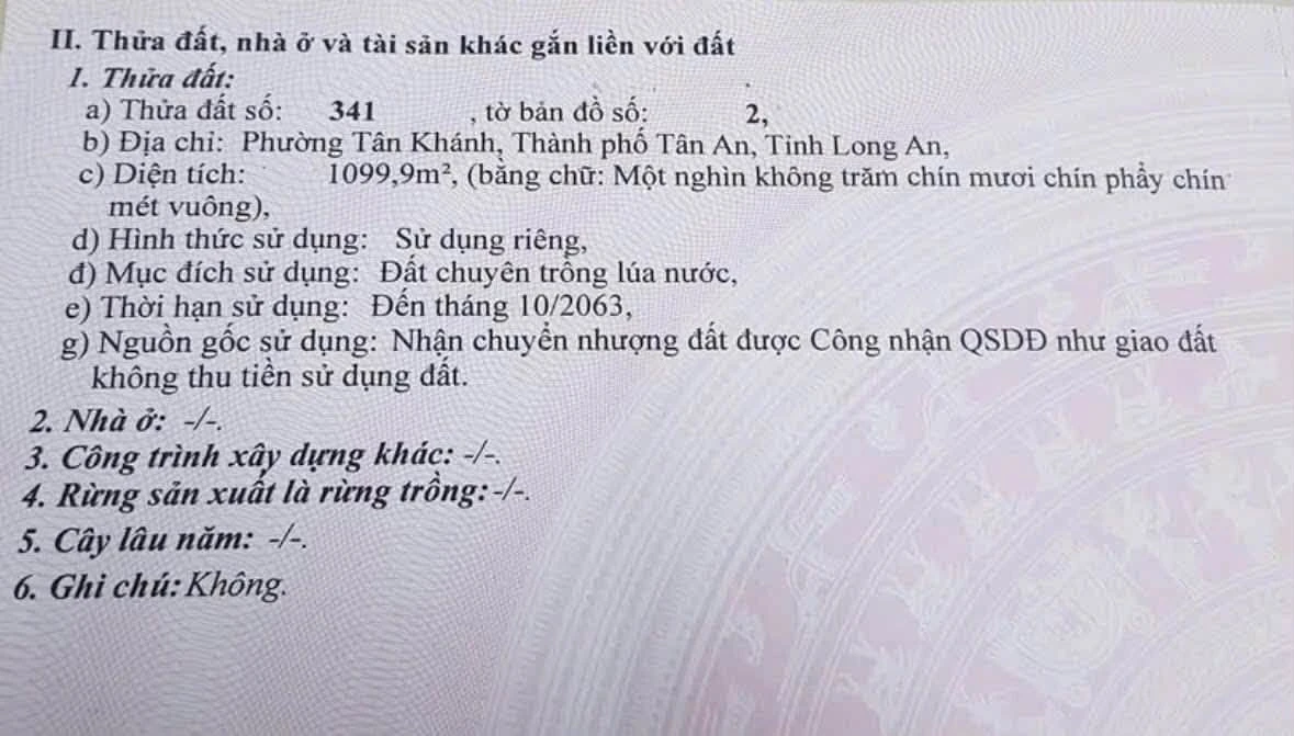 Bán 1100m² đất lúa mặt tiền Phạm Văn Thành, Tân An, Long An - Ảnh thu nhỏ 4