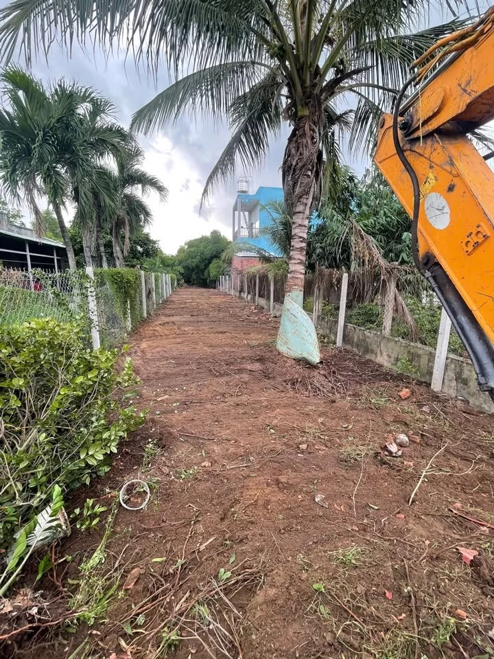 Bán đất 1098m2 full thổ cư Xã Đức Lập, Tây Ninh - Ảnh thu nhỏ 2