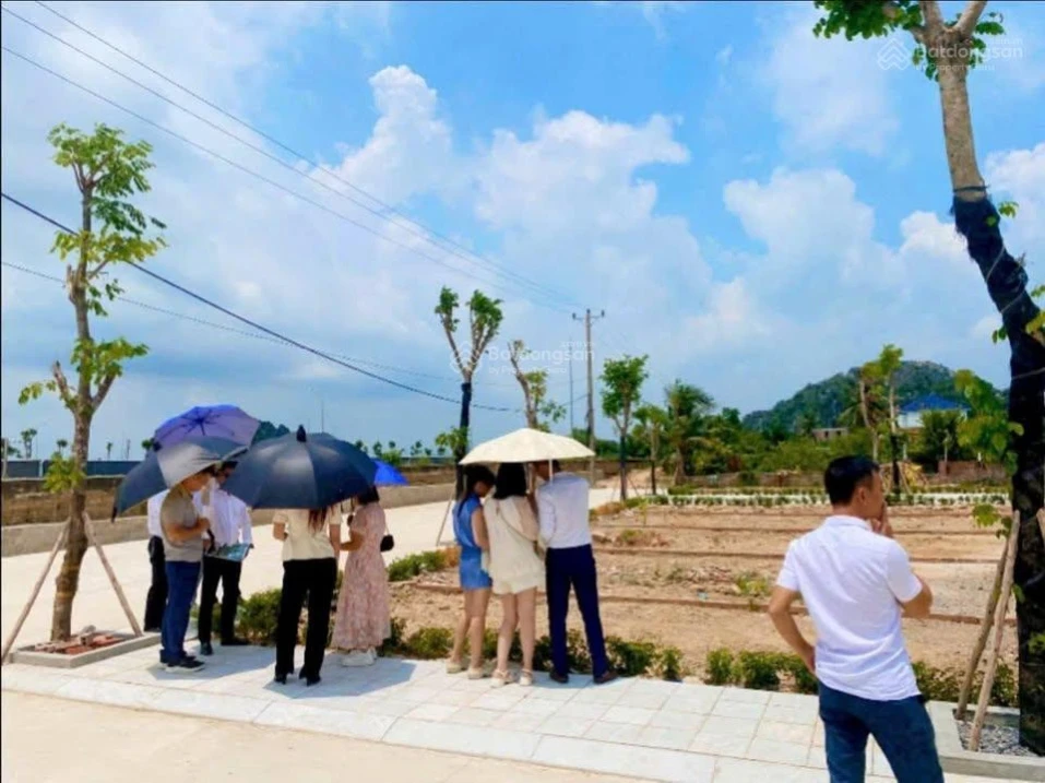 Bán đất sổ hồng lõi dân cư Vin Hạ Long Xanh, 30tr/m2 - Cơ hội x3 lần giá. Cho thuê ngay 16tr/tháng. - Ảnh thu nhỏ 2