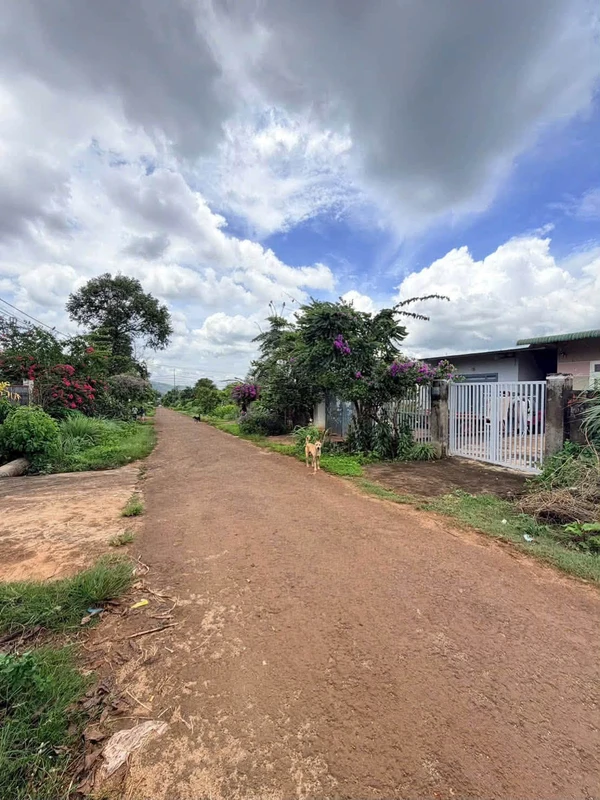Bán đất 5x36m Thôn 6 Cưbua, Buôn Ma Thuột 2.55 tỷ