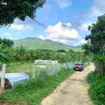 Bán đất 6.000m² có thổ cư Bình Điền Huế - Ảnh thu nhỏ 2