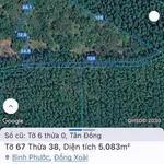 Bán lô đất 5000m2, 124m mặt tiền Đồng Xoài - Ảnh thu nhỏ 2