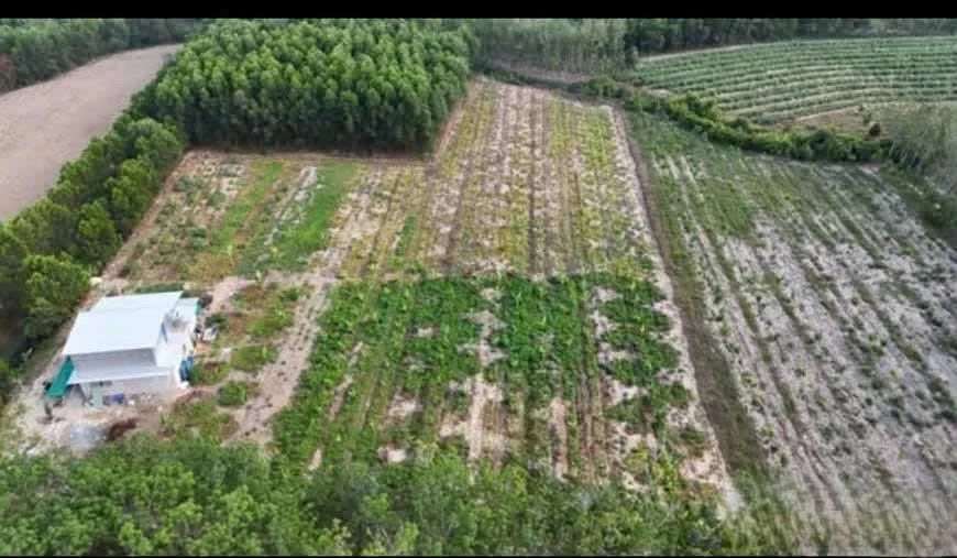 Cho thuê/bán đất vườn 8500m² tại Tây Ninh - Ảnh thu nhỏ 3