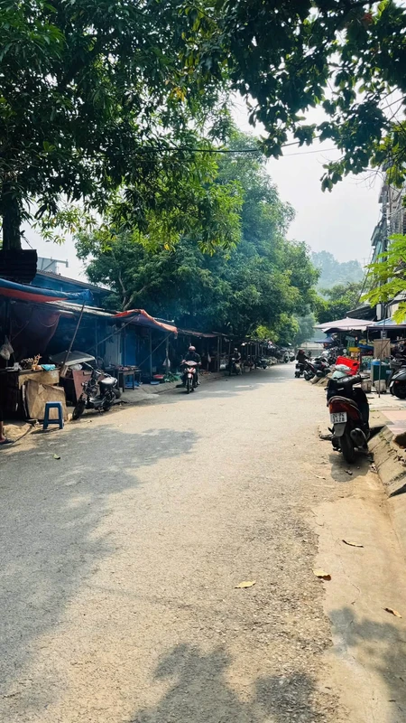 Bán đất mặt chợ Nguyễn Đình Tứ Lào Cai 194m²