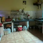 Bán nhà cấp 4 gần chợ Ngã Tư Phú Thọ, 148.5m² Đồng Nai - Ảnh thu nhỏ 5