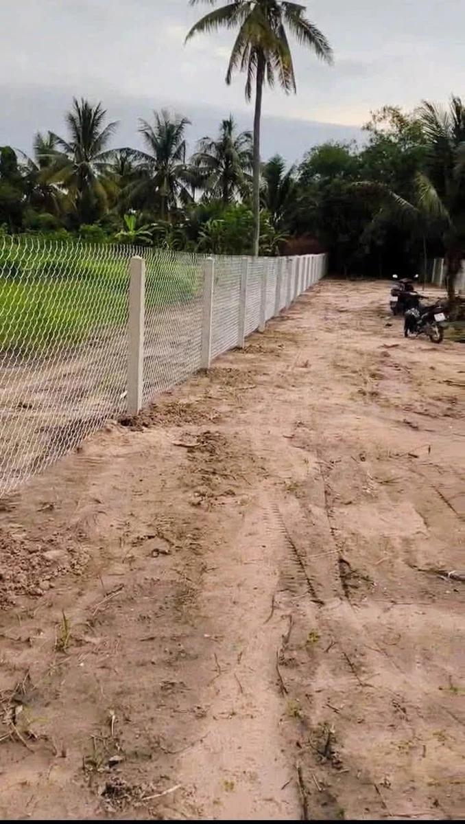 Bán nền đất mặt tiền Trường Hòa Nhà Bè, 150tr/m - Ảnh thu nhỏ 2