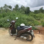 Bán đất Tân Xuân 350m² 1 tỷ 350 triệu - Ảnh thu nhỏ 2