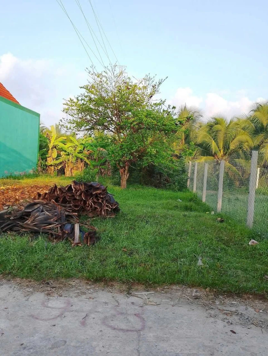 Bán đất thổ cư 78.7m² Giao Long, Vĩnh Long, 530 triệu - Ảnh thu nhỏ 2