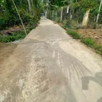 Bán đất Bến Tre 500m2, ngang 16m, có nhà mới xây - Ảnh thu nhỏ 3
