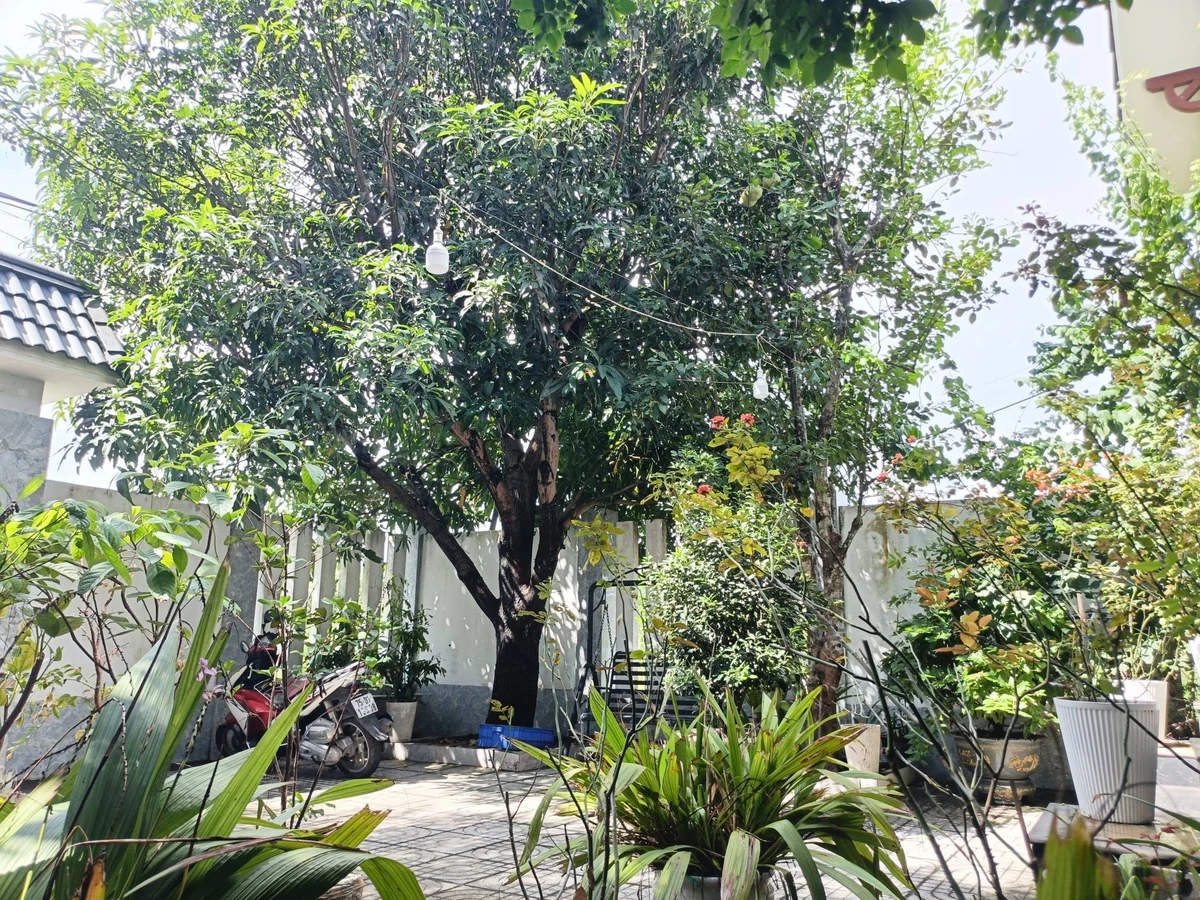 Biệt thự mặt tiền Hoà Tiến 200m² giá 6 tỷ - Ảnh thu nhỏ 2