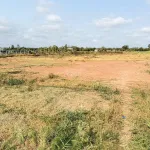 Chính chủ bán gấp 5600m2 đường Tỉnh 881 nhựa 10m, cách Phà Mỹ An 1km,giá 1tr160/m2 - Ảnh thu nhỏ 24