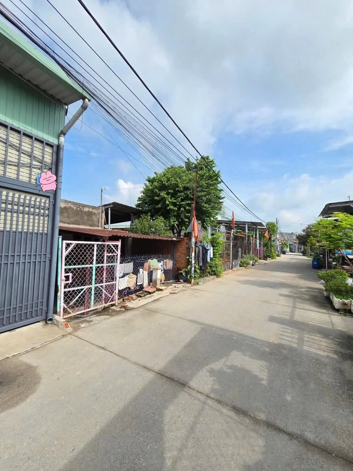 Bán đất 181,2m² tặng nhà cấp 4 Bình Chuẩn, Thuận An - Ảnh thu nhỏ 5