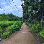 Bán đất gần chợ Tân Thành 50m², 1,1 tỷ - Ảnh thu nhỏ 3