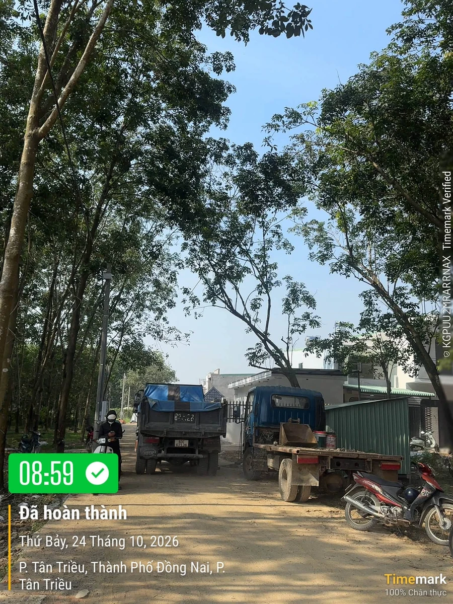 Bán đất nền mặt tiền kinh doanh 130,7m² 1,1 tỷ Đồng Nai - Ảnh thu nhỏ 2