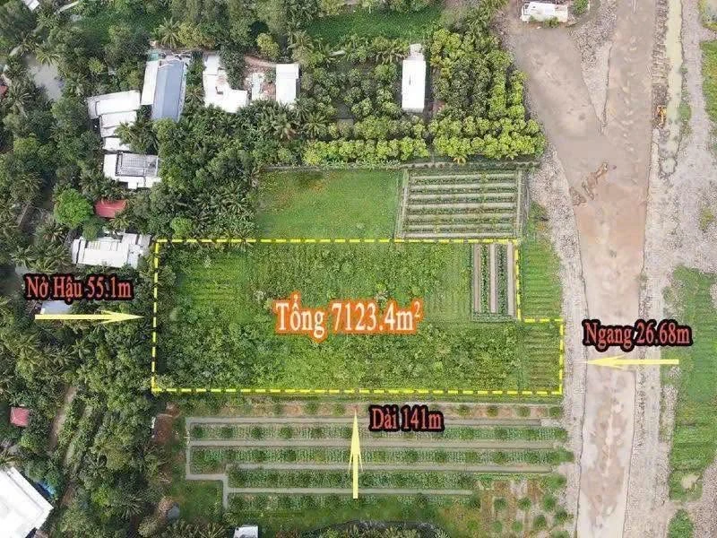 Bán đất mặt tiền 7123.4 m2 Vành Đai Tây Cần Thơ 4 triệu/m2 - Ảnh thu nhỏ 2