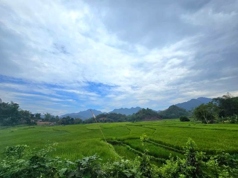 Bán đất 2000m² Đà Bắc Hòa Bình gần 2 tỷ có ao vườn