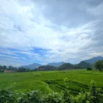 Bán đất 2000m² Đà Bắc Hòa Bình gần 2 tỷ có ao vườn - Ảnh thu nhỏ 1