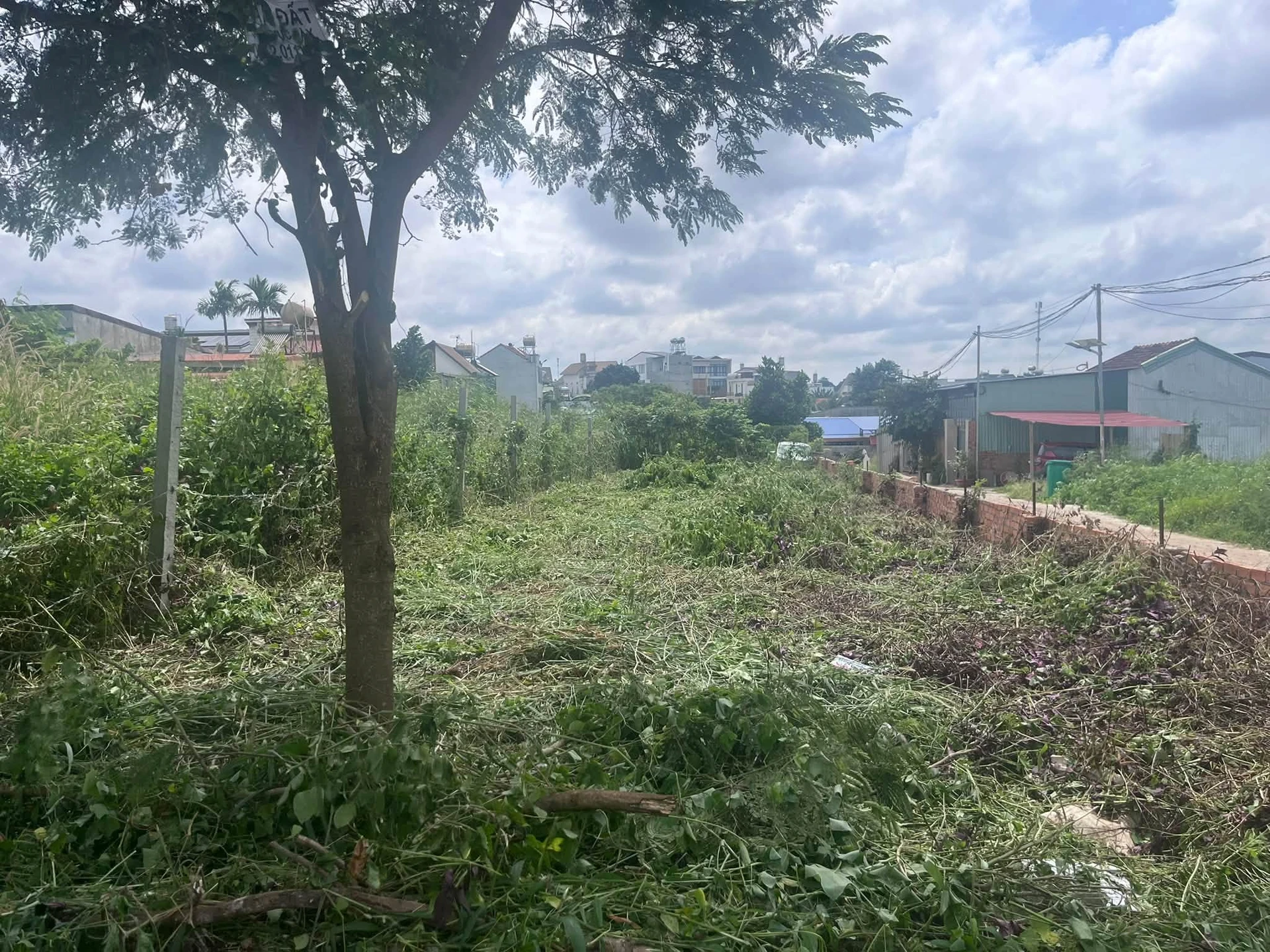 Bán đất 2 mặt tiền 245m² Buôn Ma Thuột 5,3 tỷ - Ảnh 1