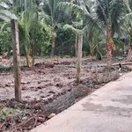 Bán đất Nhà Bè 280m² gần trường cấp Tân Thạch B 650 triệu - Ảnh thu nhỏ 5
