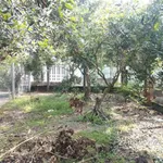 Bán nền đất 405m² Long Hòa Bình Đại Bến Tre 730 triệu - Ảnh thu nhỏ 5