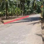 Bán đất mặt tiền Lộ Giồng Trâm Bến Tre 415m2 - Ảnh thu nhỏ 5