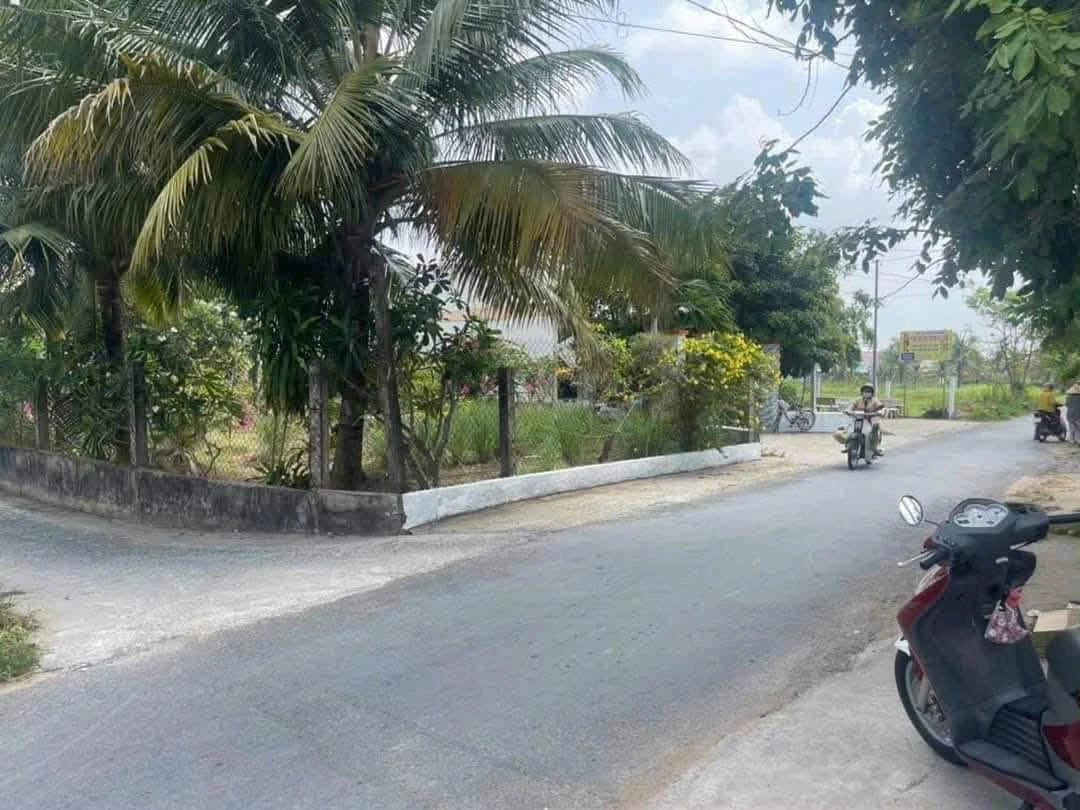 Bán đất 750m2 mặt tiền 22m Bến Tre Nhà Bè - Ảnh thu nhỏ 2