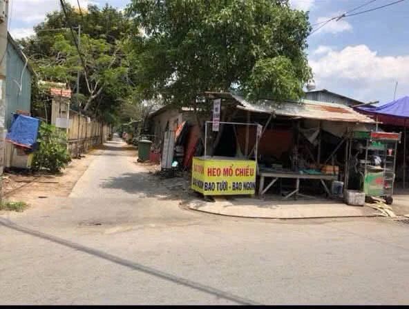 Bán lô đất 3 mặt tiền Đào Sư Tích Nhà Bè 1540m2 - Ảnh thu nhỏ 3