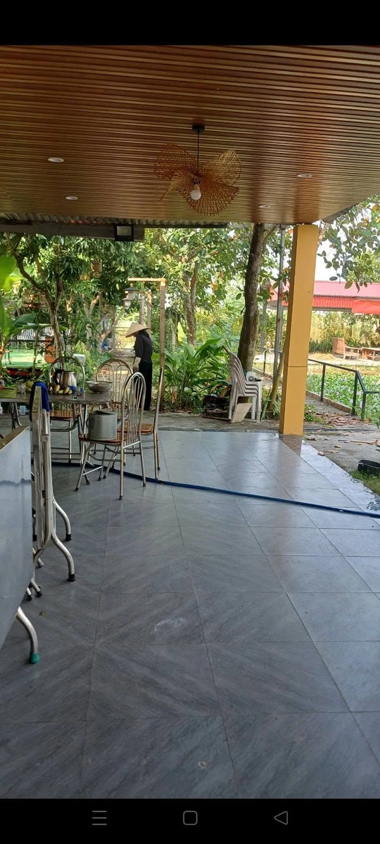 Bán nhà vườn Đồ Sơn Hải Phòng 2500m² giá 3.3 tỷ - Ảnh thu nhỏ 3
