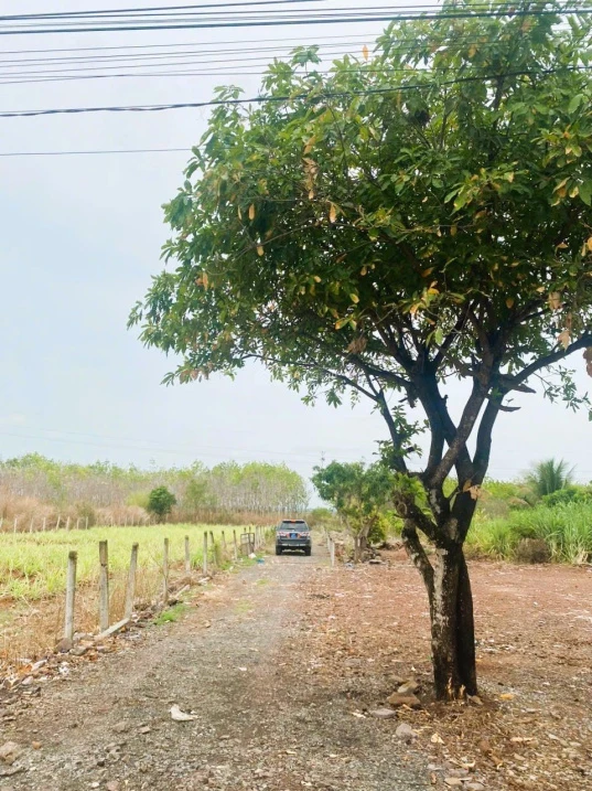 Đất đẹp huyện Buôn Đôn, Đắk Lắk 103.365m2 sổ đỏ chính chủ, vị trí trung tâm. Chỉ 15 tỷ. 0935 361 *** - Ảnh thu nhỏ 2