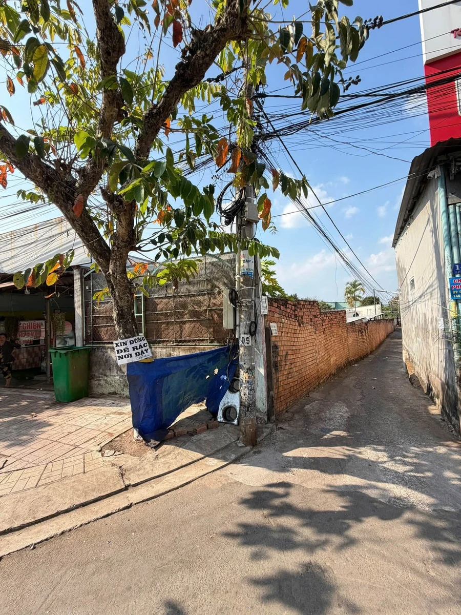 Bán đất góc 2 mặt tiền 684m2 Hồ Thị Hương, Bình Chánh - Ảnh 1