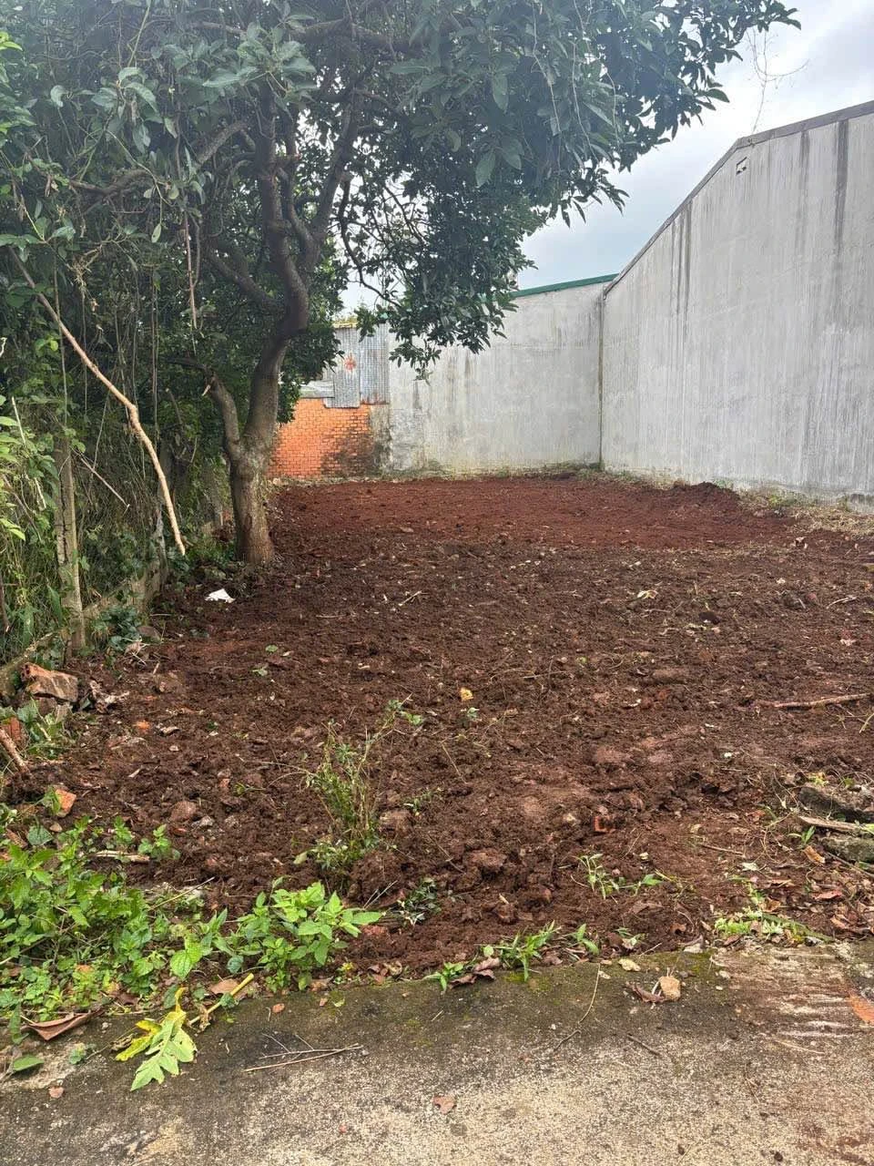 Bán lô đất 75m² Phường Tân Lập, Bình Chánh, 1,53 tỷ - Ảnh 1