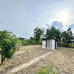 Bán đất 489m² Mỹ Lộc, Tây Ninh - 1 tỷ 400 triệu - Ảnh thu nhỏ 5