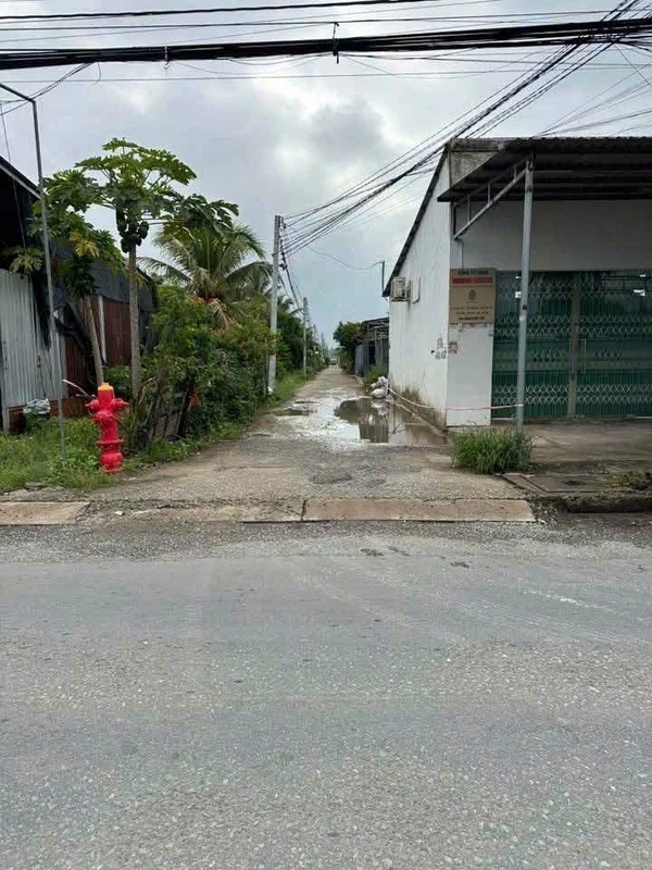 Bán 2 nền đất liền kề 300m² tại Hữu Định, Bến Tre