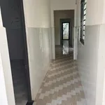 Bán đất 110m² tặng nhà cấp bốn Sơn Đông Bến Tre - Ảnh thu nhỏ 4
