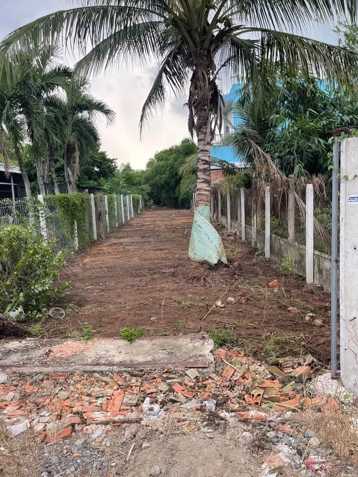 Bán đất 1098m2 full thổ cư Xã Đức Lập, Tây Ninh - Ảnh 1