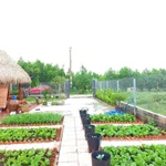 Bán đất mặt tiền 350m² Long Tân, Nhà Bè - 1,75 tỷ - Ảnh thu nhỏ 4