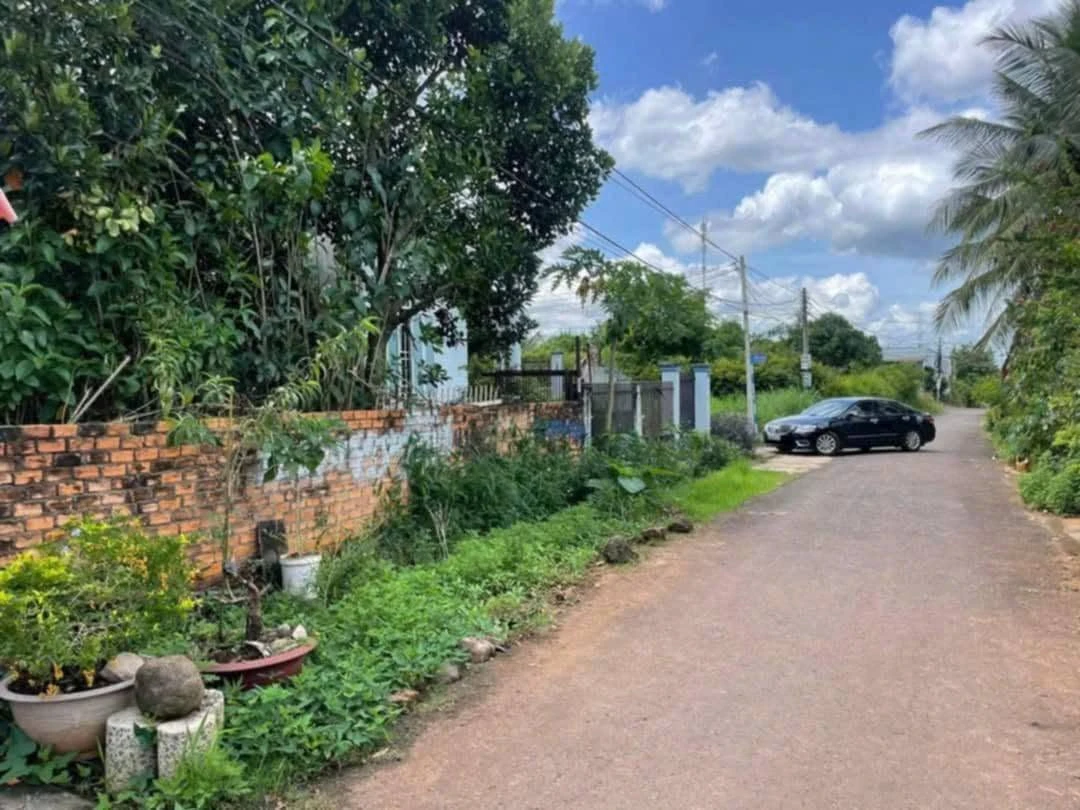 Bán lô đất nền 125m² Phường Thành Nhất, giá 1,25 tỷ - Ảnh thu nhỏ 3